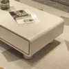 SvelteLine Storage Coffee Table