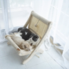 Sunny Siesta Cat Hammock