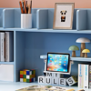 Junior Scholar Study Desk Set